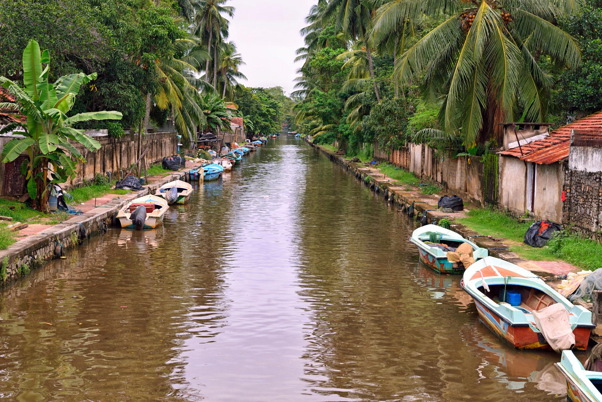 Dutch Canal (Hamilton Canal)