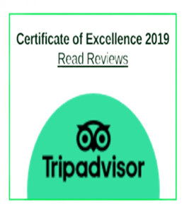 Trip Advisor 2019