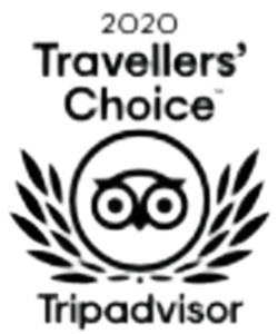 Trip Advisor 2020