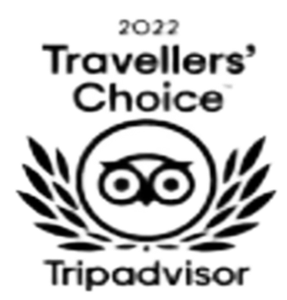 Trip Advisor 2022