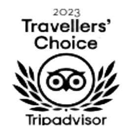Trip Advisor 2023