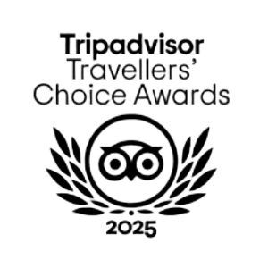 Trip Advisor 2025